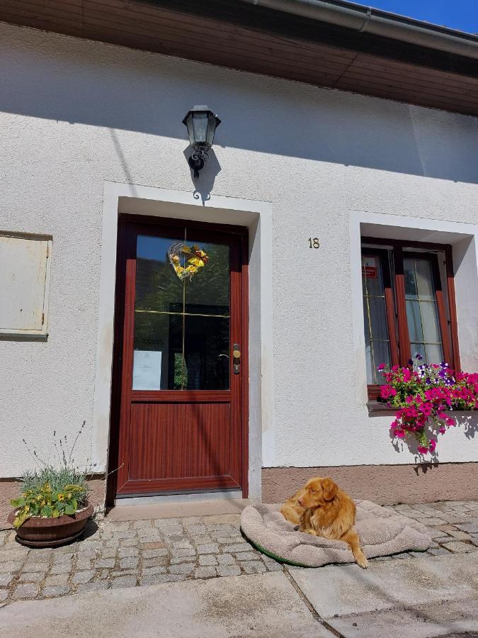 Penzion Na Vysluni Strasin Exterior foto
