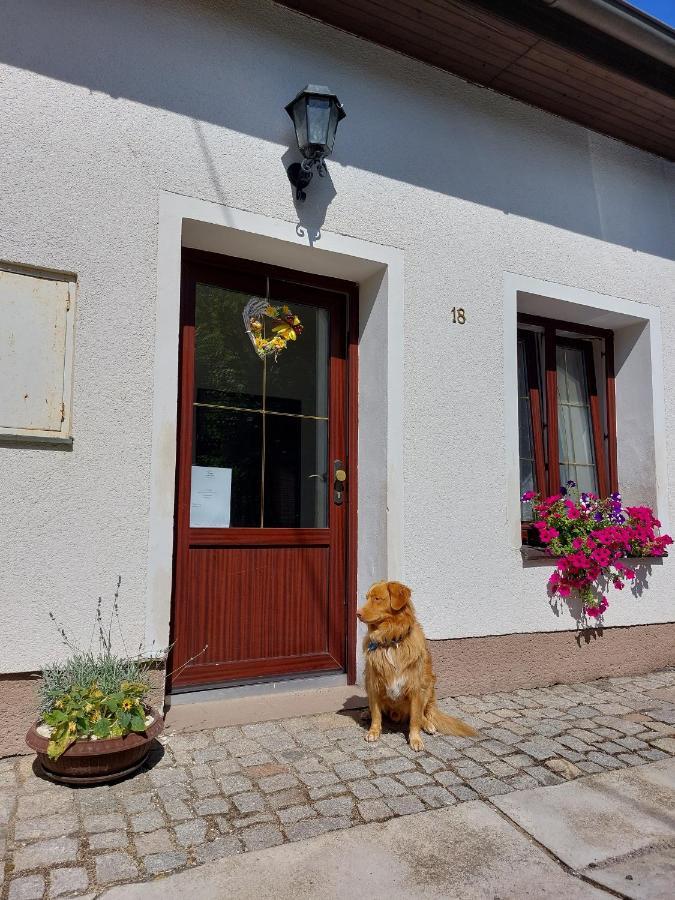 Penzion Na Vysluni Strasin Exterior foto